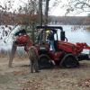 Oak Wilt reduction project at the Island Lake Campground located in the Huron National Forest.  Michigan DNR plowed lines to break the root grafts through a partnership with the USDA Forest Service.  The Oak Wilt Reduction Grant allowed the OCCD to coordinate the project and replant the site.